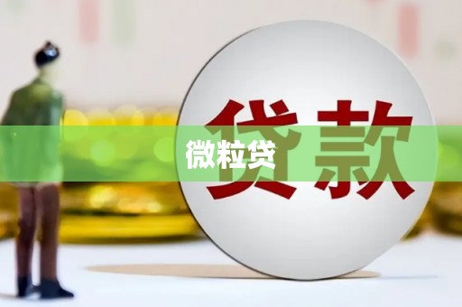 青神微粒贷
