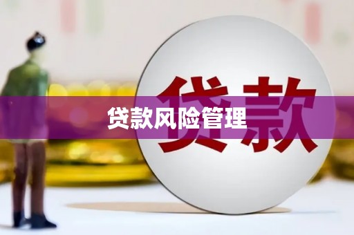 青神贷款风险管理