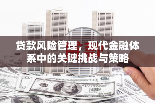 青神贷款风险管理，现代金融体系中的关键挑战与策略