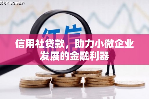 青神信用社贷款，助力小微企业发展的金融利器
