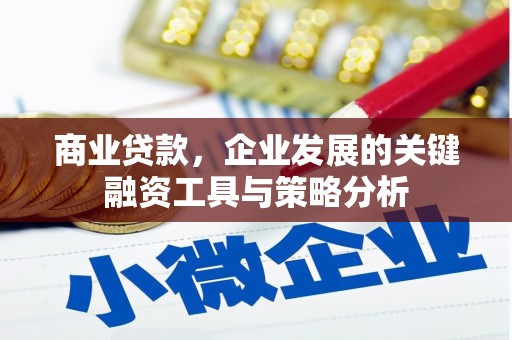 青神商业贷款，企业发展的关键融资工具与策略分析