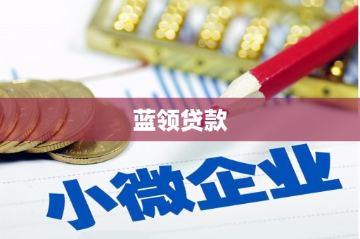 青神蓝领贷款