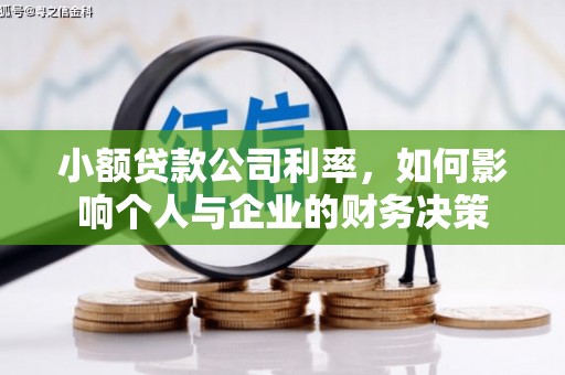 青神小额贷款公司利率，如何影响个人与企业的财务决策