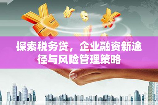 青神探索税务贷，企业融资新途径与风险管理策略
