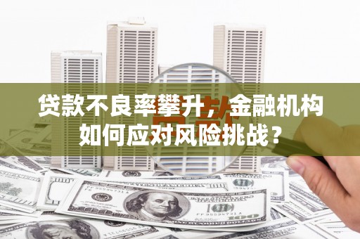 青神贷款不良率攀升，金融机构如何应对风险挑战？