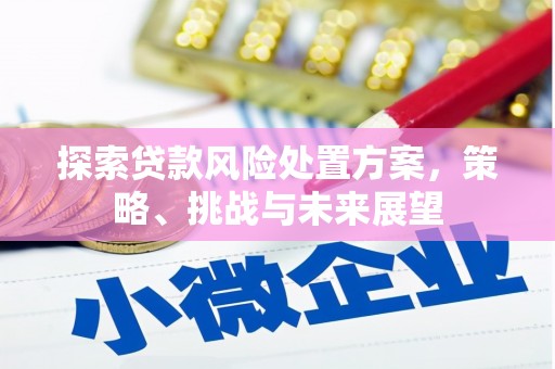 青神探索贷款风险处置方案，策略、挑战与未来展望