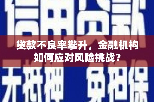 青神贷款不良率攀升，金融机构如何应对风险挑战？