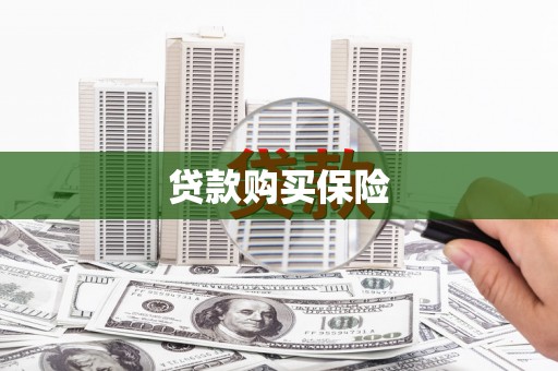 青神贷款购买保险