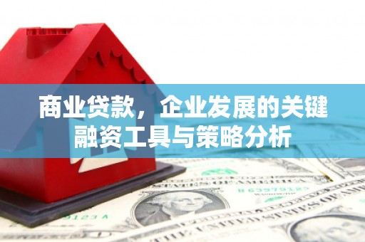青神商业贷款，企业发展的关键融资工具与策略分析