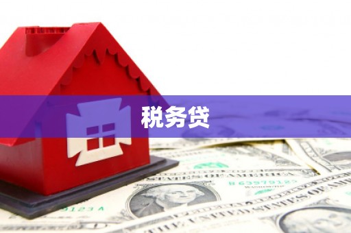 青神税务贷