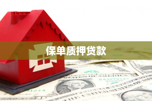 青神保单质押贷款