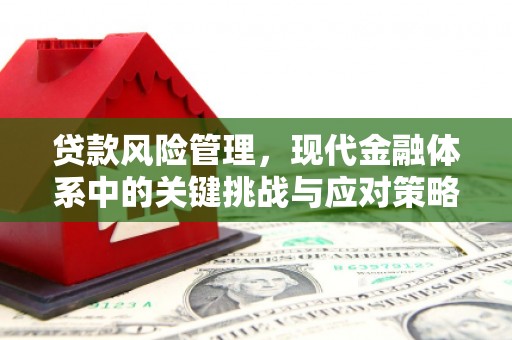 青神贷款风险管理，现代金融体系中的关键挑战与应对策略