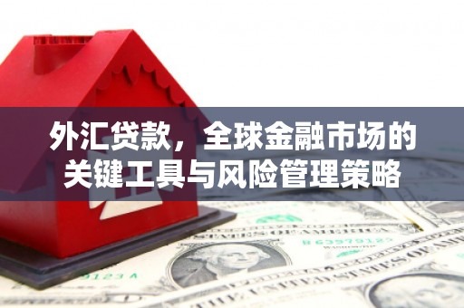 青神外汇贷款，全球金融市场的关键工具与风险管理策略