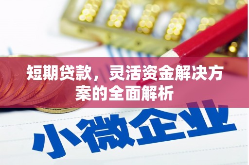 青神短期贷款，灵活资金解决方案的全面解析