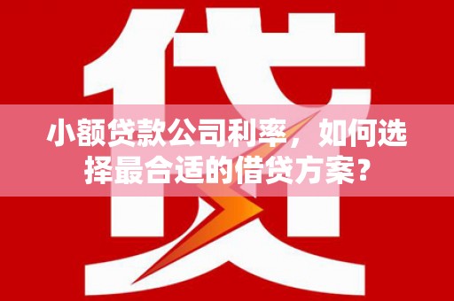 青神小额贷款公司利率，如何选择最合适的借贷方案？