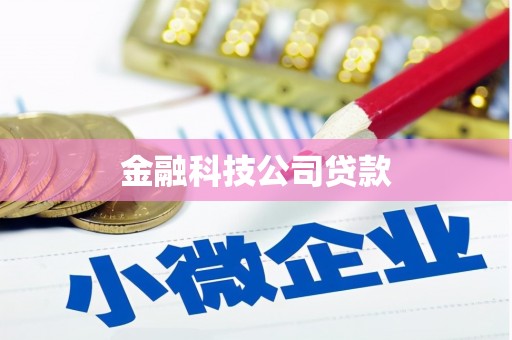 青神金融科技公司贷款