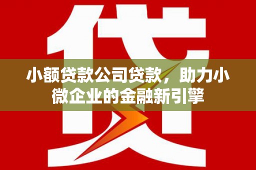 青神小额贷款公司贷款，助力小微企业的金融新引擎
