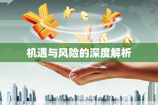青神机遇与风险的深度解析