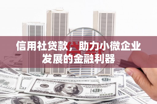 青神信用社贷款，助力小微企业发展的金融利器