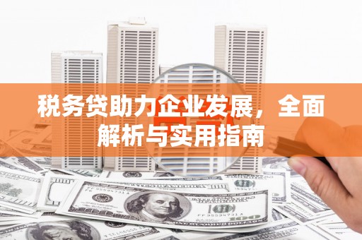 青神税务贷助力企业发展，全面解析与实用指南
