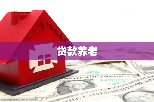 青神贷款养老
