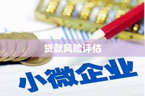 青神贷款风险评估
