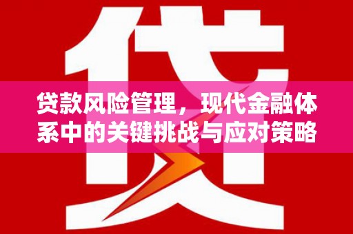 青神贷款风险管理，现代金融体系中的关键挑战与应对策略