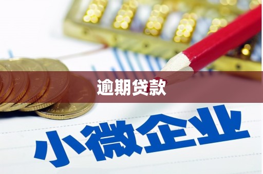 青神逾期贷款