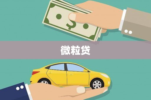 青神微粒贷