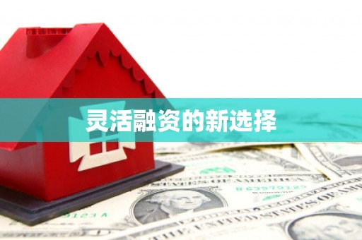 青神灵活融资的新选择
