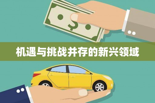 青神机遇与挑战并存的新兴领域