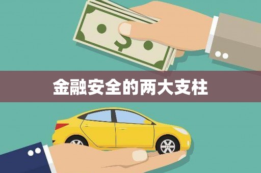 青神金融安全的两大支柱