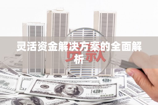 青神灵活资金解决方案的全面解析