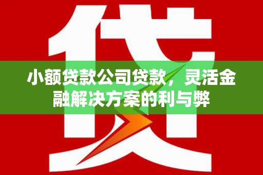 青神小额贷款公司贷款，灵活金融解决方案的利与弊